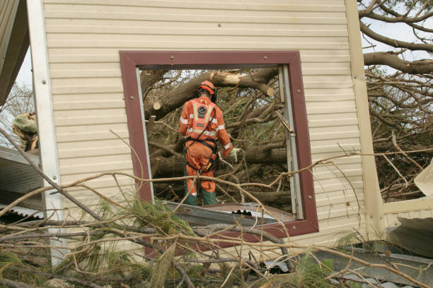 Best Stump Grinding and Removal  in Towanda, KS